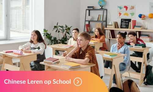 Chinese Leren op School